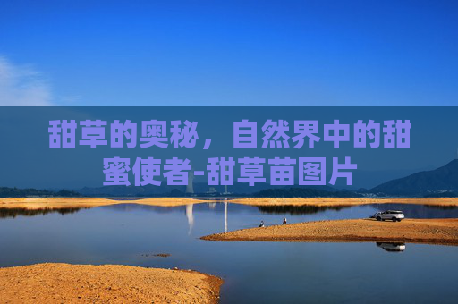 甜草的奥秘，自然界中的甜蜜使者-甜草苗图片
