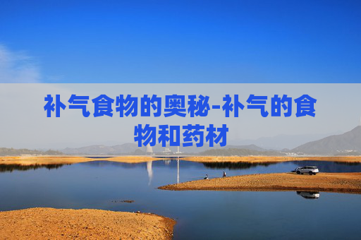补气食物的奥秘-补气的食物和药材