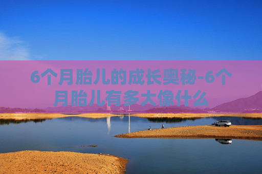 6个月胎儿的成长奥秘-6个月胎儿有多大像什么