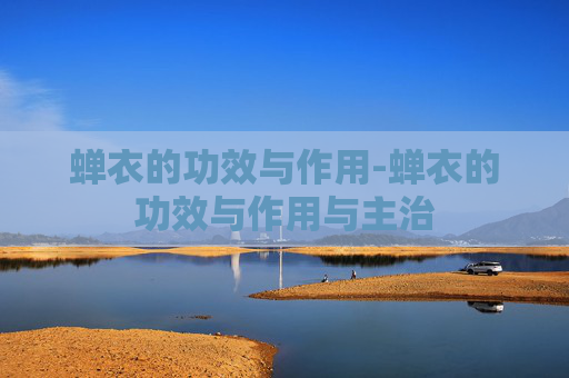 蝉衣的功效与作用-蝉衣的功效与作用与主治