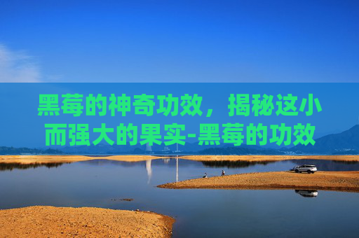 黑莓的神奇功效，揭秘这小而强大的果实-黑莓的功效与作用及营养价值