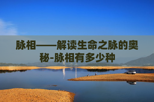 脉相——解读生命之脉的奥秘-脉相有多少种