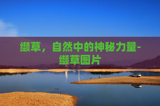 缬草，自然中的神秘力量-缬草图片