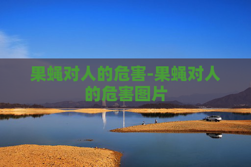 果蝇对人的危害-果蝇对人的危害图片