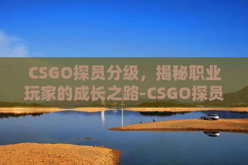 CSGO探员分级，揭秘职业玩家的成长之路-CSGO探员