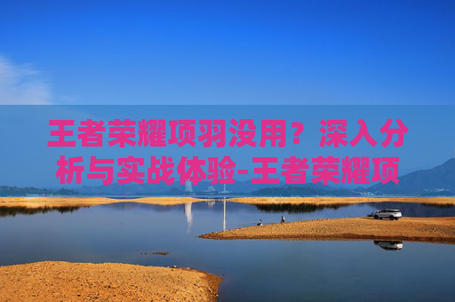 王者荣耀项羽没用？深入分析与实战体验-王者荣耀项羽怎么样