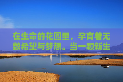 在生命的花园里，孕育着无数希望与梦想。当一颗新生命悄然降临，它的到来如同一朵盛开的蔷薇，既娇艳又充满力量。这朵名为孕之蔷薇的生命之花，以其独特的魅力和坚韧不拔的精神，诠释着母爱的伟大和生命的奇迹。-孕之蔷薇漫画羽柴