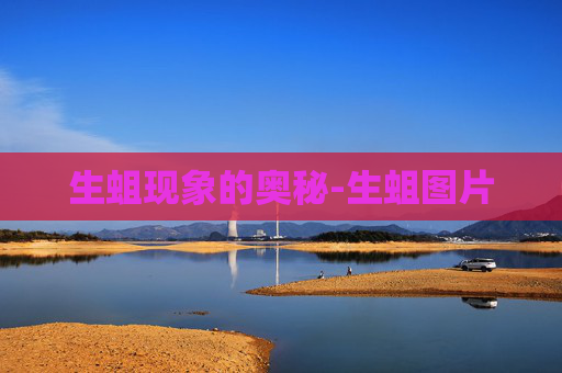 生蛆现象的奥秘-生蛆图片