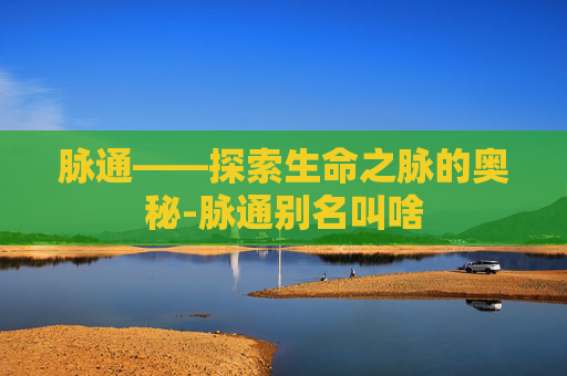 脉通——探索生命之脉的奥秘-脉通别名叫啥