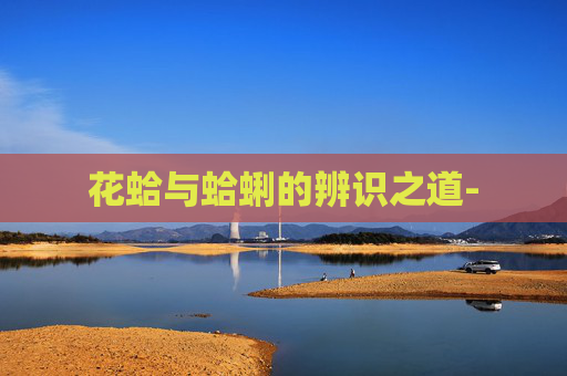 花蛤与蛤蜊的辨识之道-