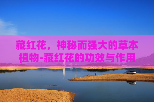 藏红花，神秘而强大的草本植物-藏红花的功效与作用