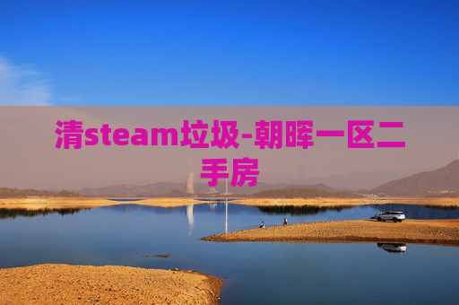 清steam垃圾-朝晖一区二手房