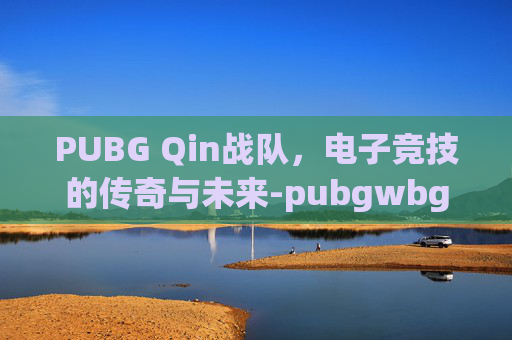 PUBG Qin战队，电子竞技的传奇与未来-pubgwbg战队