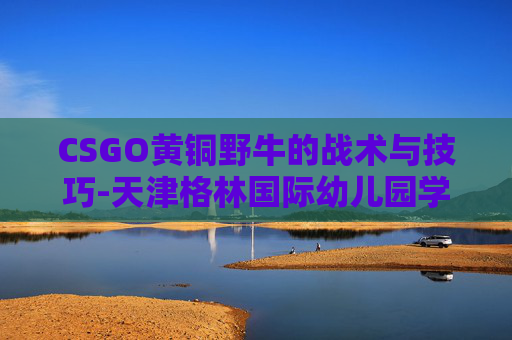 CSGO黄铜野牛的战术与技巧-天津格林国际幼儿园学费