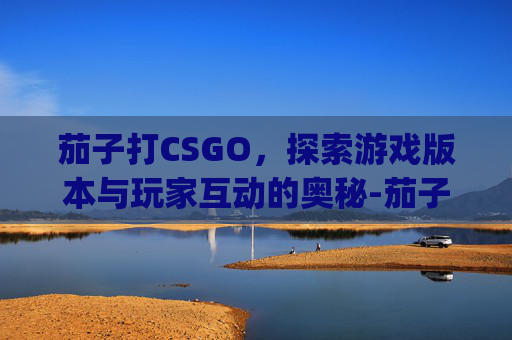 茄子打CSGO，探索游戏版本与玩家互动的奥秘-茄子玩的csgo全名叫什么