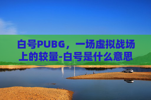 白号PUBG，一场虚拟战场上的较量-白号是什么意思?