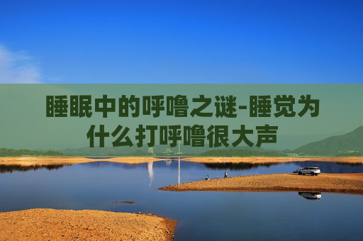 睡眠中的呼噜之谜-睡觉为什么打呼噜很大声