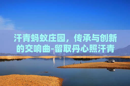 汗青蚂蚁庄园，传承与创新的交响曲-留取丹心照汗青打一语文词语