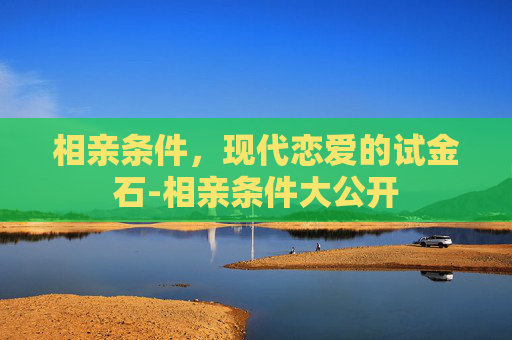 相亲条件，现代恋爱的试金石-相亲条件大公开