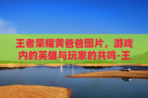 王者荣耀黄爸爸图片，游戏内的英雄与玩家的共鸣-王者荣耀黄爸爸图片大全