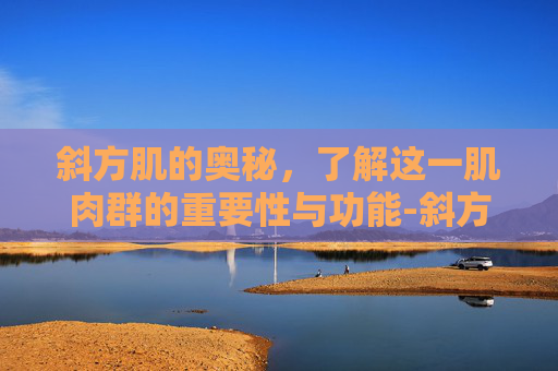斜方肌的奥秘，了解这一肌肉群的重要性与功能-斜方肌是什么意思