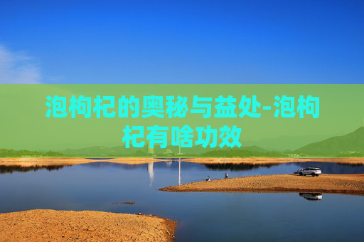 泡枸杞的奥秘与益处-泡枸杞有啥功效