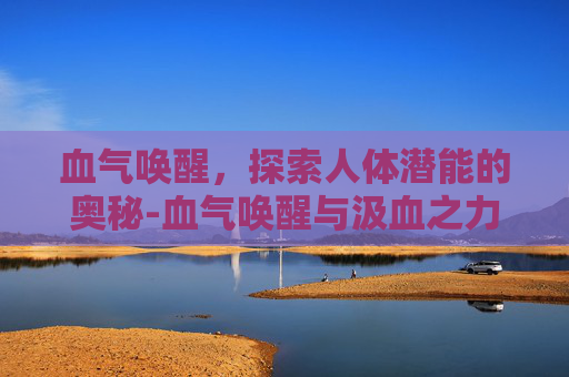 血气唤醒，探索人体潜能的奥秘-血气唤醒与汲血之力