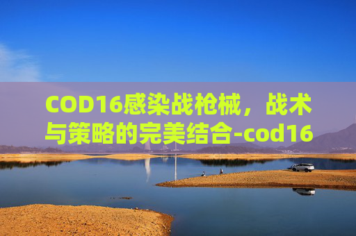 COD16感染战枪械，战术与策略的完美结合-cod16感染模式