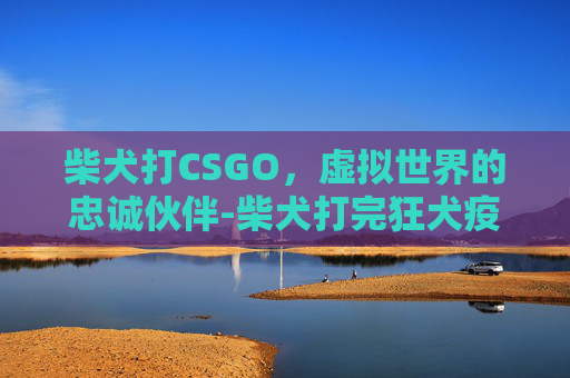 柴犬打CSGO，虚拟世界的忠诚伙伴-柴犬打完狂犬疫苗多久可以洗澡