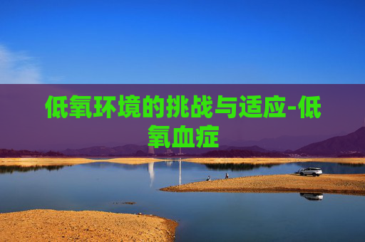 低氧环境的挑战与适应-低氧血症