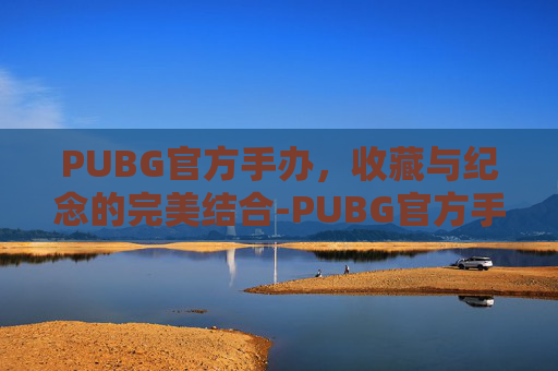 PUBG官方手办，收藏与纪念的完美结合-PUBG官方手办