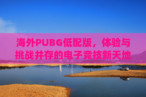 海外PUBG低配版，体验与挑战并存的电子竞技新天地-pubg国际服手游低配版下载