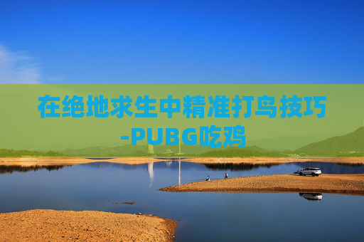 在绝地求生中精准打鸟技巧-PUBG吃鸡
