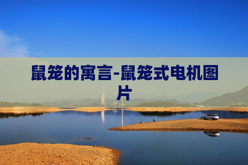 鼠笼的寓言-鼠笼式电机图片