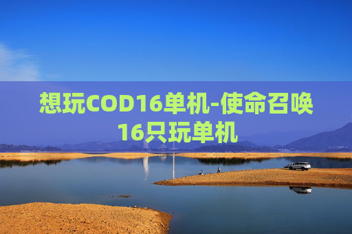 想玩COD16单机-使命召唤16只玩单机