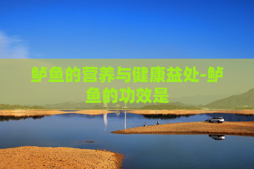 鲈鱼的营养与健康益处-鲈鱼的功效是