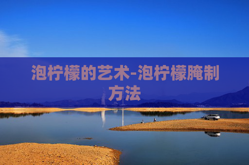 泡柠檬的艺术-泡柠檬腌制方法