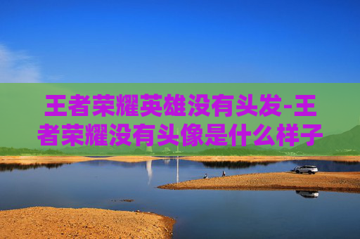 王者荣耀英雄没有头发-王者荣耀没有头像是什么样子