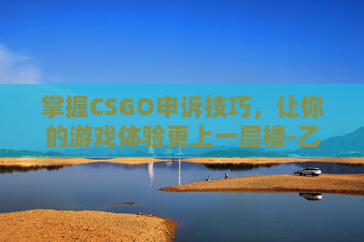 掌握CSGO申诉技巧，让你的游戏体验更上一层楼-乙肝患者可以吃茄子吗