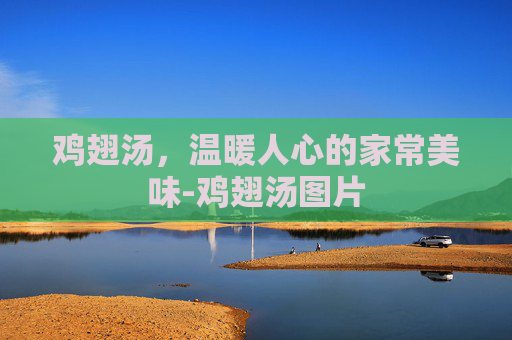 鸡翅汤，温暖人心的家常美味-鸡翅汤图片