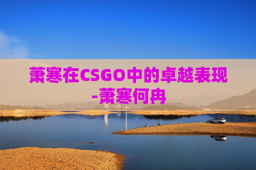 萧寒在CSGO中的卓越表现-萧寒何冉