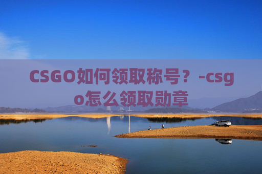 CSGO如何领取称号？-csgo怎么领取勋章