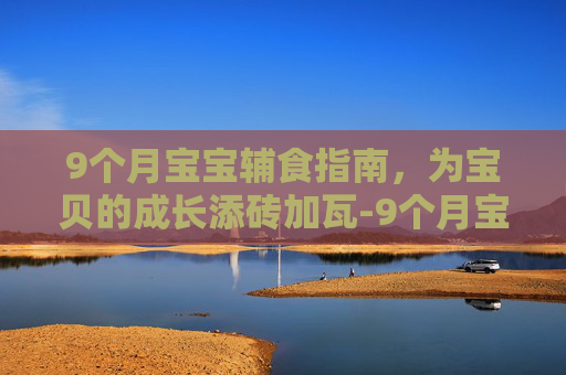 9个月宝宝辅食指南，为宝贝的成长添砖加瓦-9个月宝宝辅食怎么做