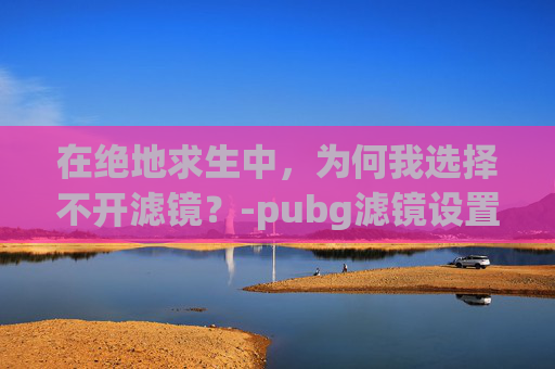 在绝地求生中，为何我选择不开滤镜？-pubg滤镜设置