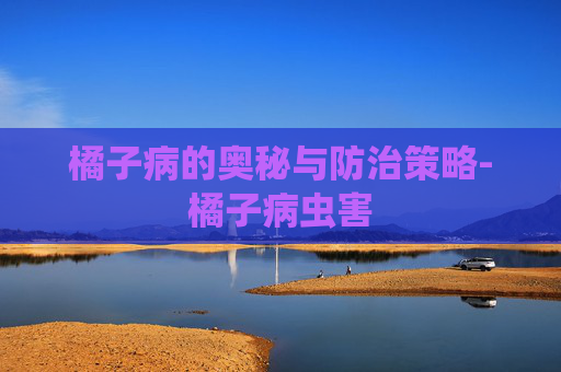 橘子病的奥秘与防治策略-橘子病虫害