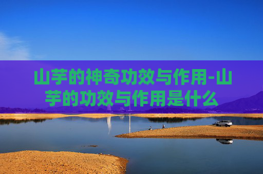 山芋的神奇功效与作用-山芋的功效与作用是什么