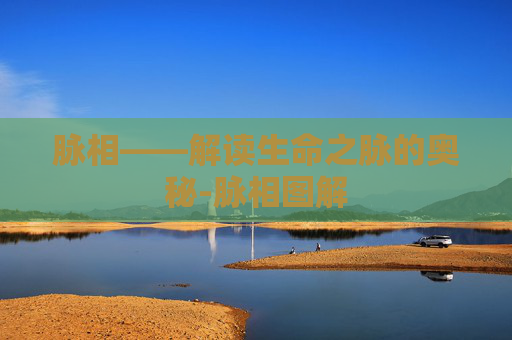 脉相——解读生命之脉的奥秘-脉相图解