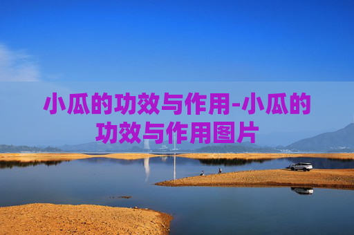 小瓜的功效与作用-小瓜的功效与作用图片