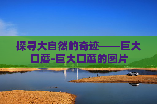 探寻大自然的奇迹——巨大口蘑-巨大口蘑的图片