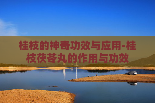 桂枝的神奇功效与应用-桂枝茯苓丸的作用与功效